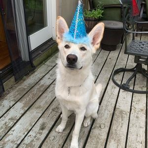 Meet your Posher, Kelsey